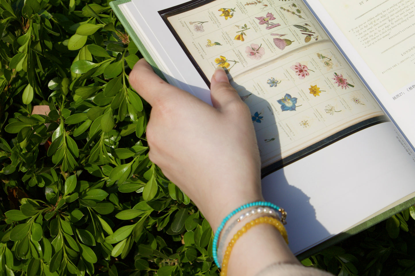 November | Yellow Agate