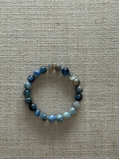 Bloom｜Wild Blue Earth